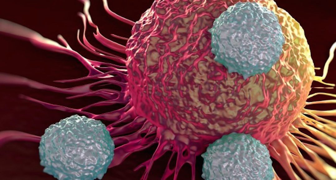 Investigadores españoles descifran mutaciones presentes en distintos tipos de cáncer