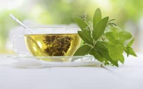 beneficios del té verde