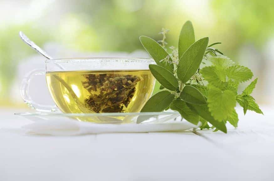 3 Beneficios del té verde impresionantes que debes conocer